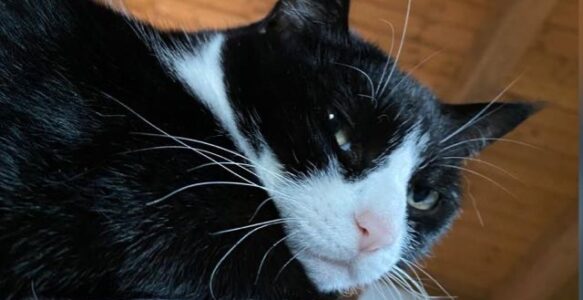 A little further, is better